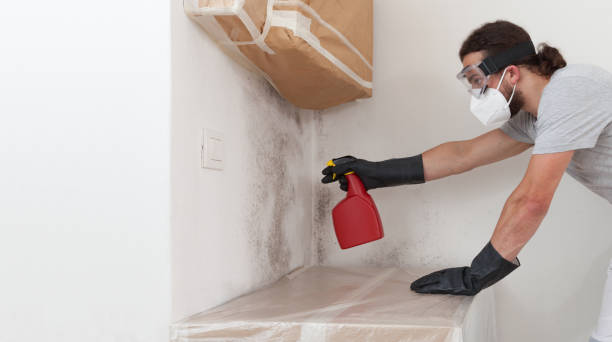 Professional Bathroom Mold Removal technician working in East Setauket, NY